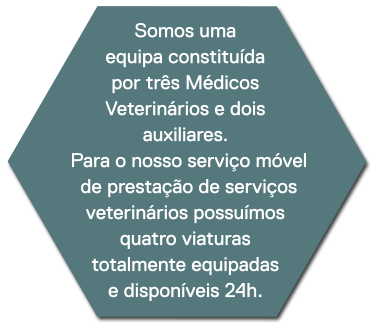medicos-veterinarios-24h